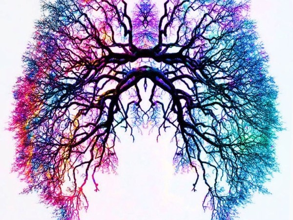 Meditation – Mental&nbsp;Exercise