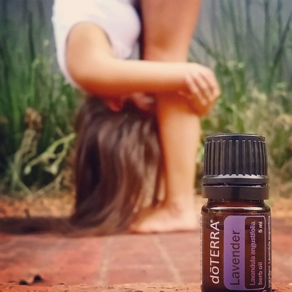 Lavender Love Affair